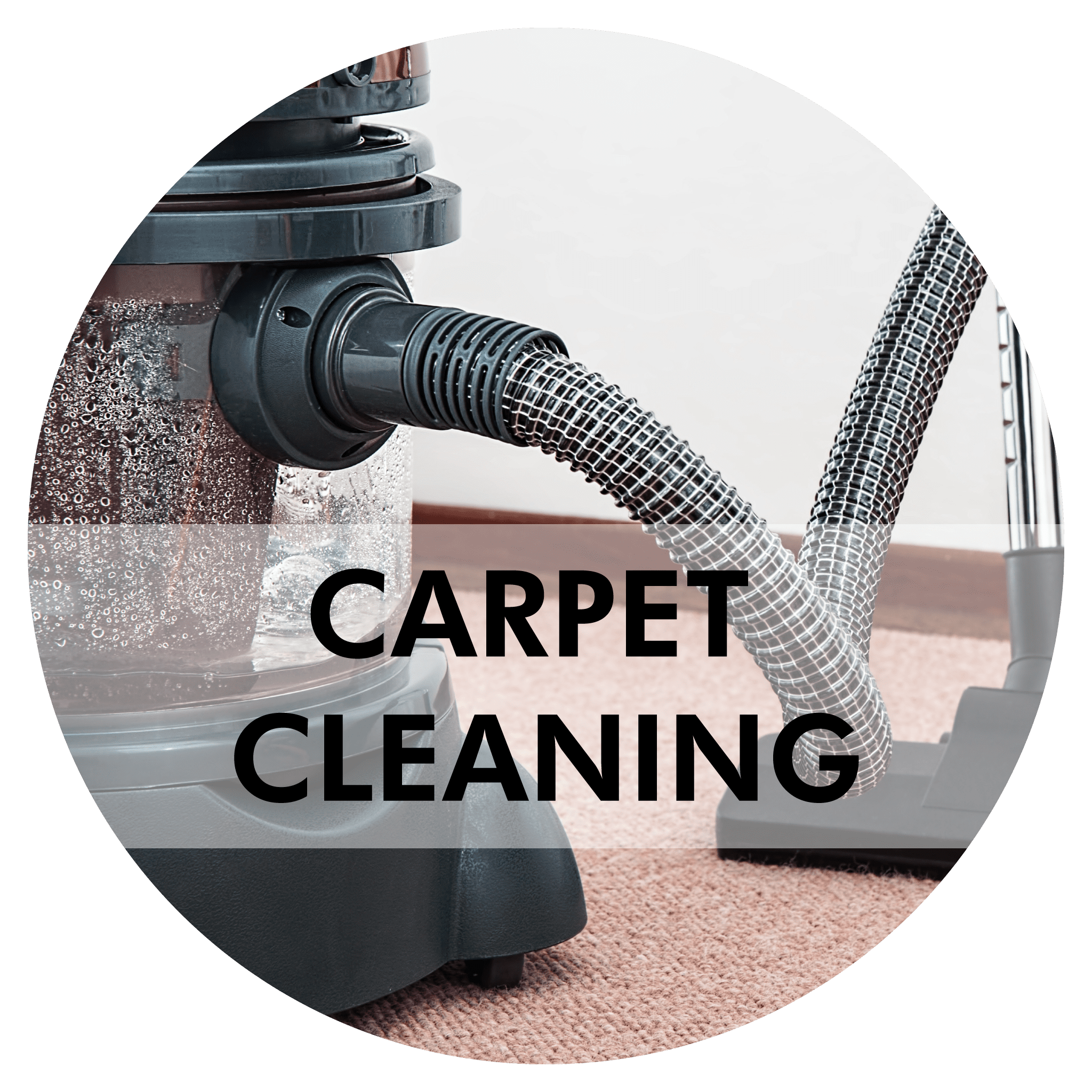 CARPET CLEANING - Low